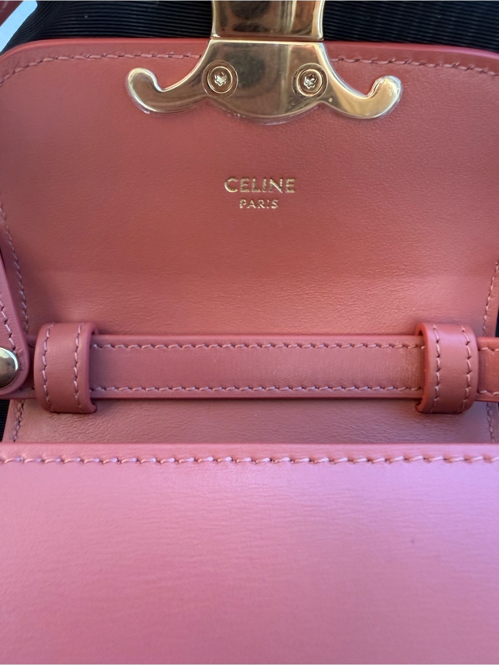 Celine Coral Triomphe Mini Crossbody Bag with Gold Hardware - Picture 5 of 6